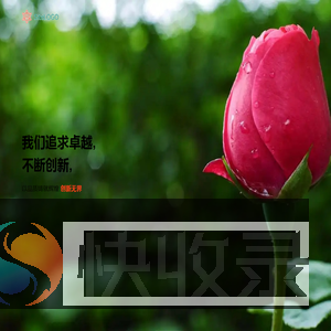 金掌惠网络