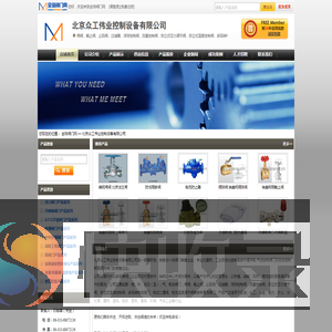 进口阀门