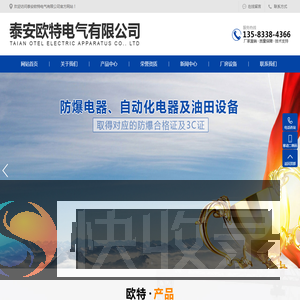 泰安欧特电气有限公司