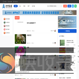 荣耀西安网