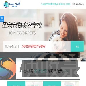 圣宠宠物