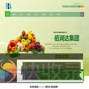 佰润达集团