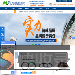 骨架油封