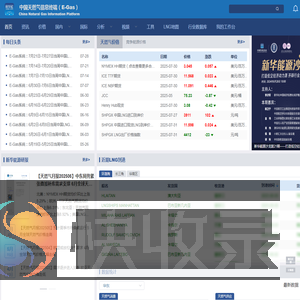 中国天然气信息终端（E