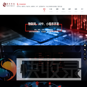 软件开发