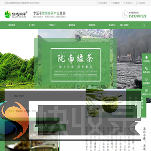 茶叶种植