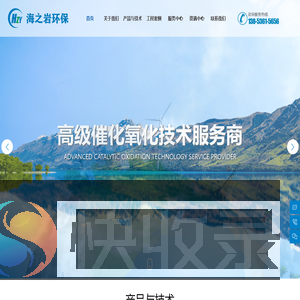 铁碳微电解填料,臭氧催化剂