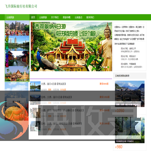 飞升国际旅行社有限公司