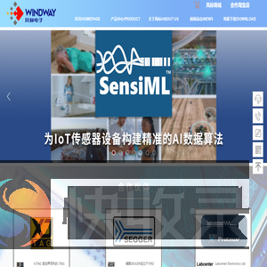 风标电子