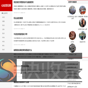 心如坚石网