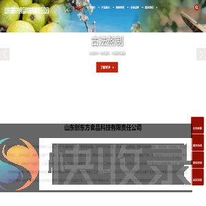山东创东方食品科技有限责任公司