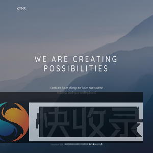 岚孜网络