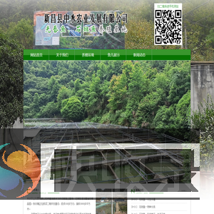 石斑鱼,光唇鱼养殖基地