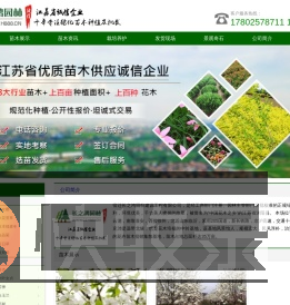 苗木价格