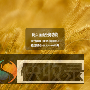 功能停用