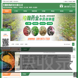 安徽柏翰药业有限公司