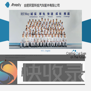 合肥阿雷斯提汽车配件有限公司