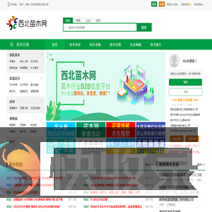 西北苗木网