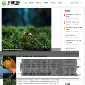 养殖信息网