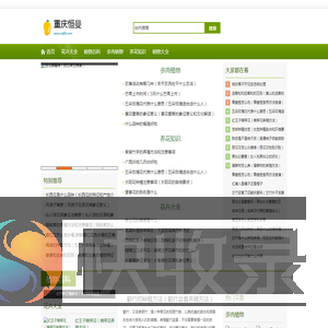 重庆恒曼网络信息咨询有限公司