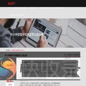 〔助现商家〕羊小咩消费额度怎么套出额度