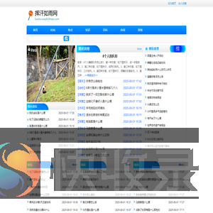 挥汗如雨网