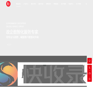 山东泰维数科软件有限责任公司
