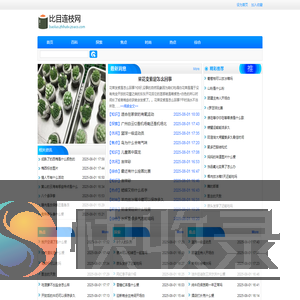 比目连枝网