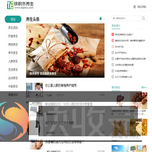 铁积木养生网