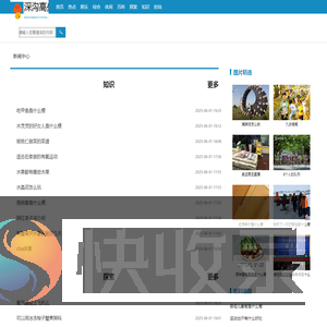 深沟高垒网