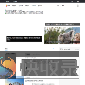 切尔网