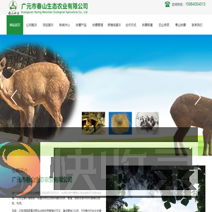 林麝养殖