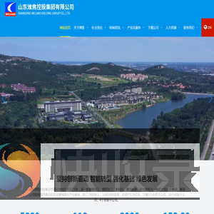 山东潍焦控股集团有限公司