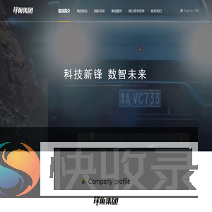 锋巢集团