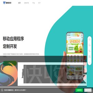 系统定制开发