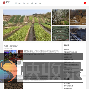 金石之坚网