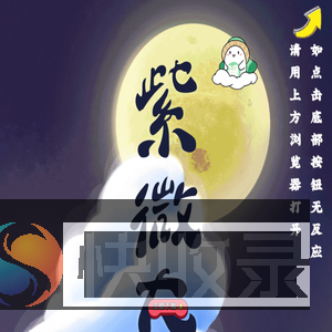 紫微大师