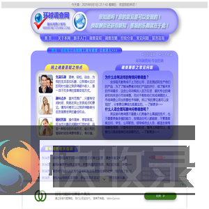 环球调查网