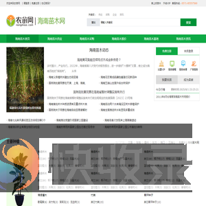 海南苗木