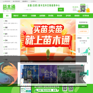 苗木通