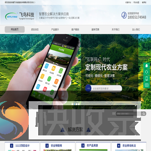 合肥飞鸟信息技术有限公司