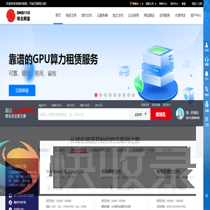 DNS110域名频道