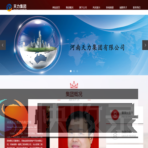 河南天力集团有限公司