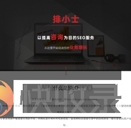 「排小士」阜阳网站优化公司