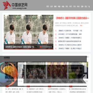 中国综艺网