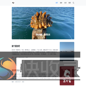 野冬冬海参