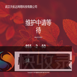 武汉天佑达网络科技有限公司