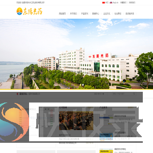 宜昌东阳光长江药业股份有限公司