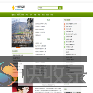 一身两役网