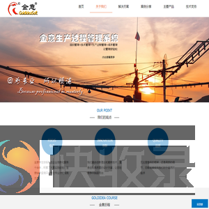 金意软件
